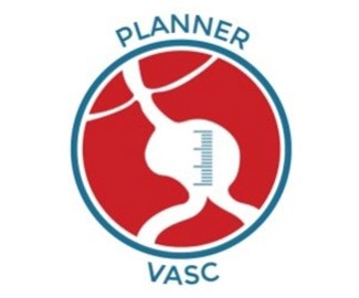 CFDVASC